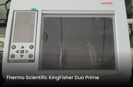 Thermo Scientific KingFisher Duo Prime